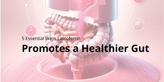 5 Essential Ways Lactoferrin Promotes a Healthier Gut - Lactoferrin Co.