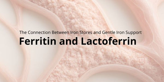 Ferritin and Lactoferrin: The Connection Between Iron Stores and Gentle Iron Support