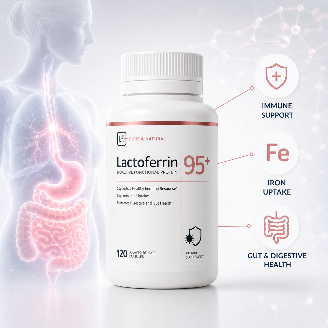 Lactoferrin Powder Capsule 300mg