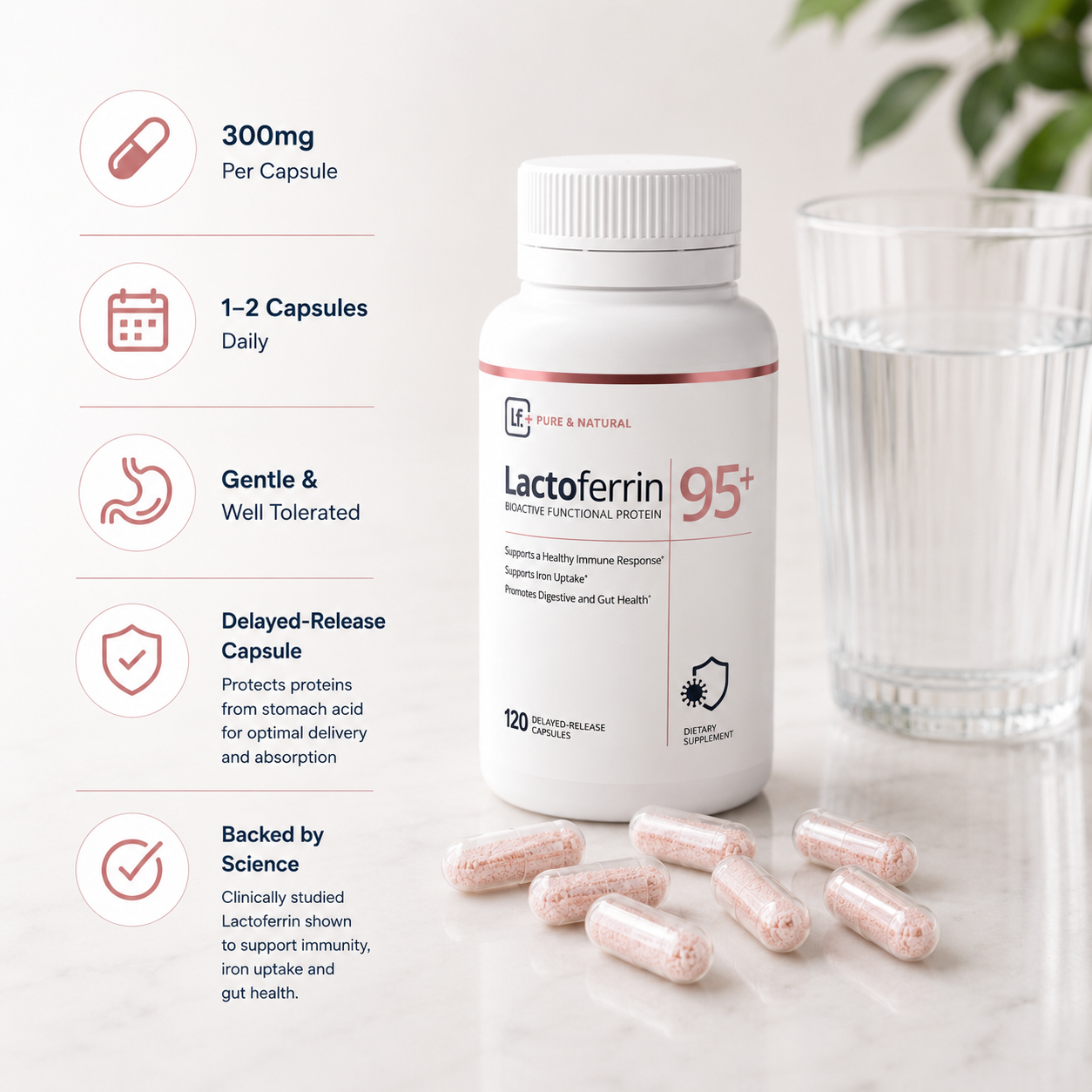 Lactoferrin Powder Capsule 300mg