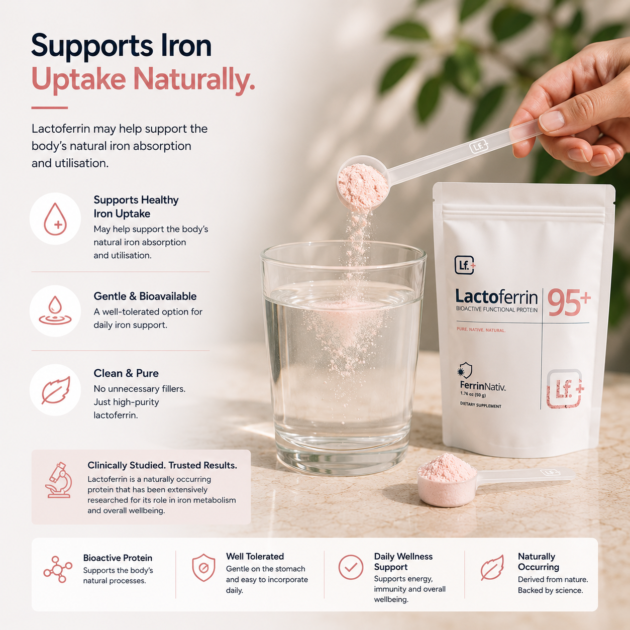 Lactoferrin Powder